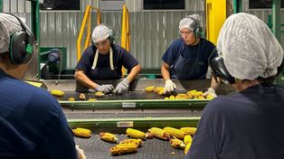 ASA celebró 75 años y mostró todo el potencial de las semillas de calidad