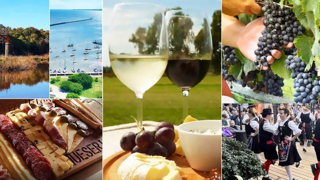 Uruguay es el principal productor de Tannat y el primer país en desarrollar vinos elaborados 100% con esa uva.