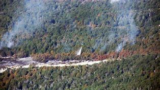 Vecinos de la Comarca Andina exigen investigar los incendios