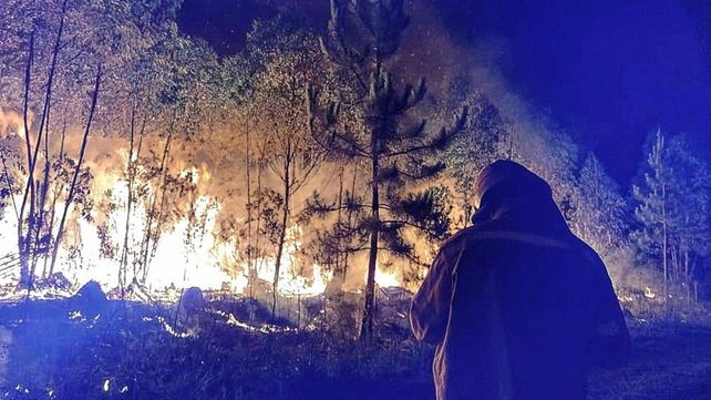 Por día hay entre 5 y 6 salidas por incendios de pastizales o forestaciones.