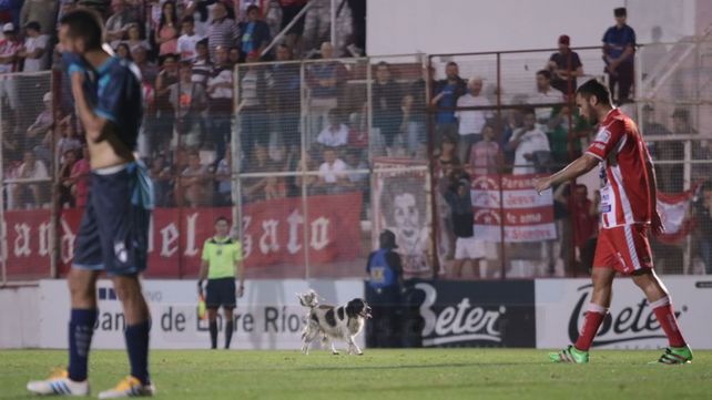 Cuando estamos mal llamamos a la mala suerte