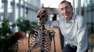 Ganó el Nobel de Medicina por secuenciar ADN del hombre de Neandertal