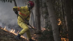 El fuego azota a Portugal y la ola de calor va a Francia