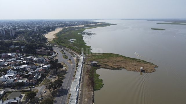 La impactante vegetación que creció sobre la costanera oeste. Foto: UNO Santa Fe