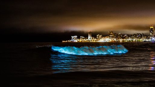 Fuertes luces fosforescentes aparecieron sobre el mar en Villa Gesell, Pinamar y Cariló