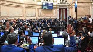 El proyecto obtuvo 56 votos afirmativos y 13 negativos.&nbsp;