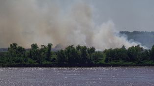 Incendios en el Delta: la Corte exige un plan a la provincia y Rosario