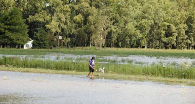 Crecida del río: el Paraná llegó a los 4,94 metros en Santa Fe