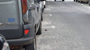 Realizarán un estudio para habilitar el estacionamiento en ambas manos en más de 250 cuadras de Santa Fe