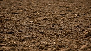 Degradación de suelos: el agro enfrenta un problema estructural que exige cambios de fondo