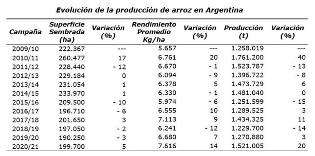 Arroz: con rindes récord, finalizó una super cosecha