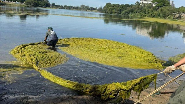La Municipalidad de Santa Fe continúa con la limpieza de la arena, despeje de vegetación y trabajos de pintura