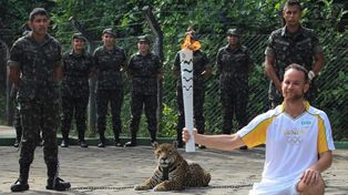 Mataron a un jaguar que quiso atacar a un soldado durante una ceremonia olímpica