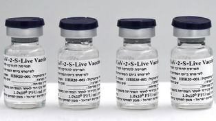 La vacuna contra el coronavirus de Israel podría fabricarse en la Argentina