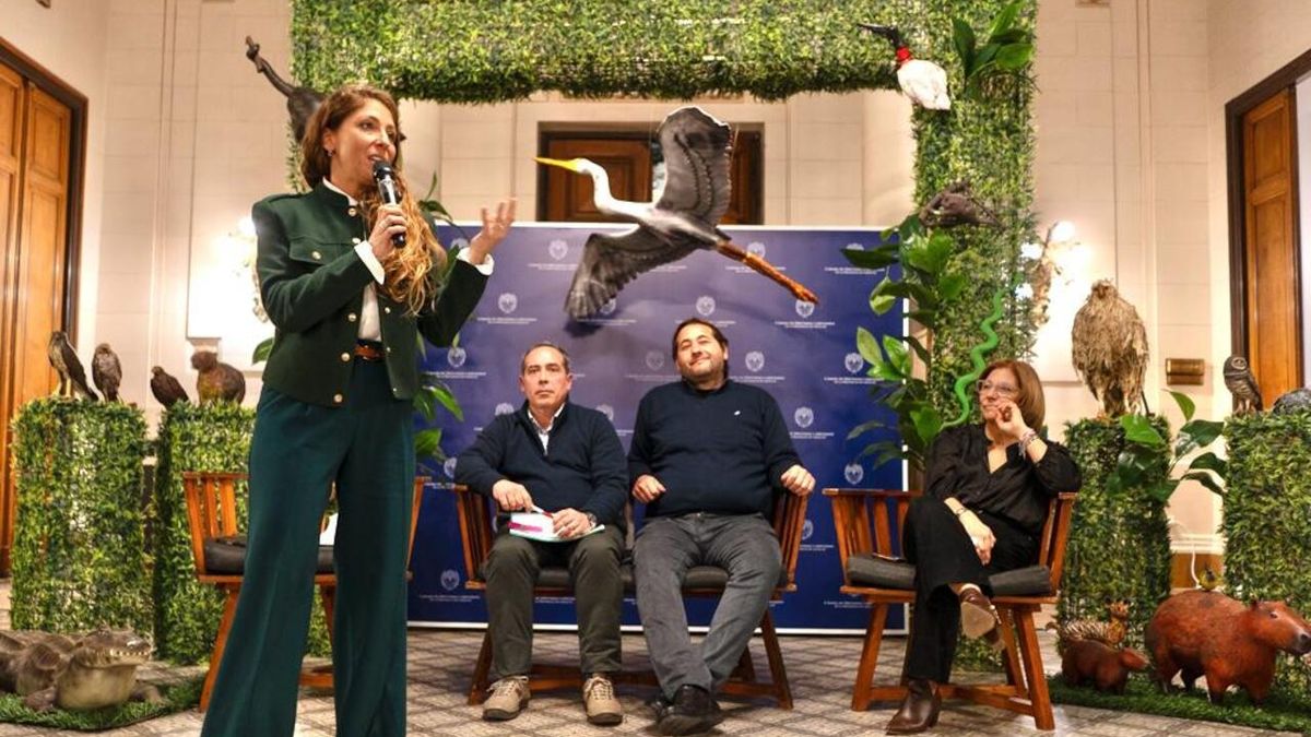 Con el impulso de Galnares, tercer año consecutivo del Mes del Ambiente en la Legislatura