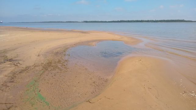 Las cianobacterias aparecieron en las costas frente a Rosario.