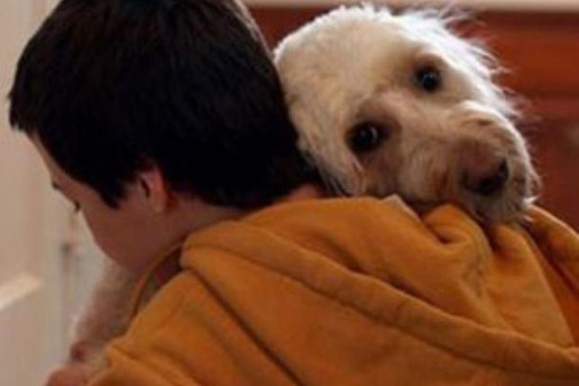 El vínculo del perro y su dueño es similar al de madre e hijo
