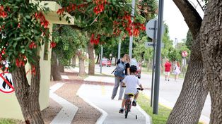 Así luce el inaugurado Paseo del Puerto
