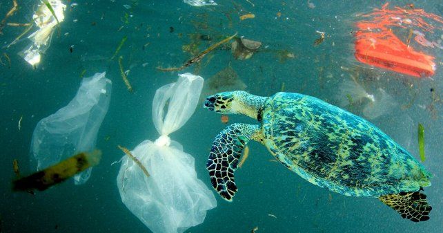 Mar Argentino: ¿mar de plástico?