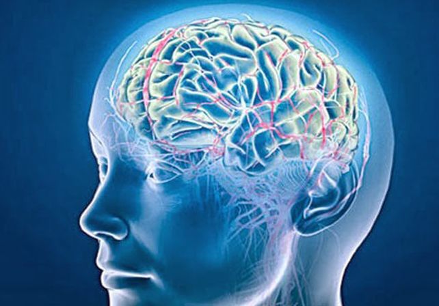 Para remarcar. Esta es una actividad a beneficio que realiza la Fundación para la Cobertura del Aneurisma Cerebral