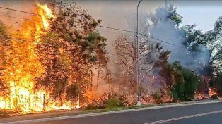 Un 98% de los incendios son por causas humanas