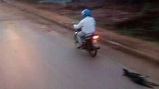 Ató a su perro a la moto y lo arrastró hasta matarlo