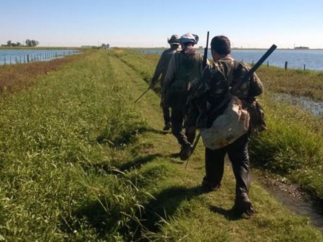 Fauna silvestre: sigue la depredación y los guardafaunas no dan abasto