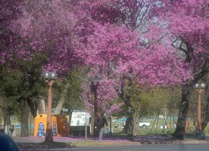 Arranque de semana con viento y en compañía del sol en Santa Fe