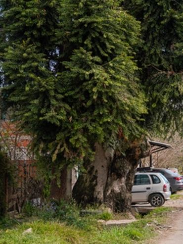 Crimen en la zona sur: asesinaron de un balazo a un chico de 14 años