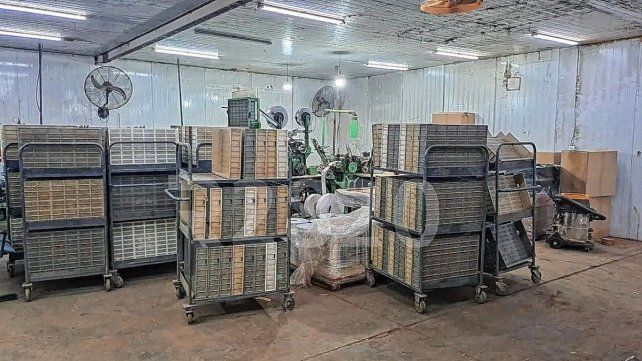 Desde Gualeguaychú desarticulan una red internacional de cigarrillos truchos.