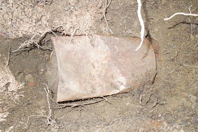 Encontraron u$s 10 M en monedas de oro enterradas en su propio patio