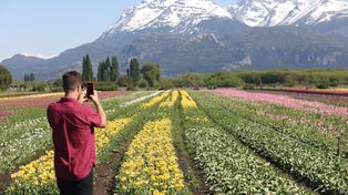 La zona de los Andes del Sur, uno de los destinos requeridos en el programa Previaje5
