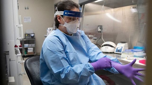Coronavirus: confirman 704 nuevos casos y 12 muertos en 24 horas