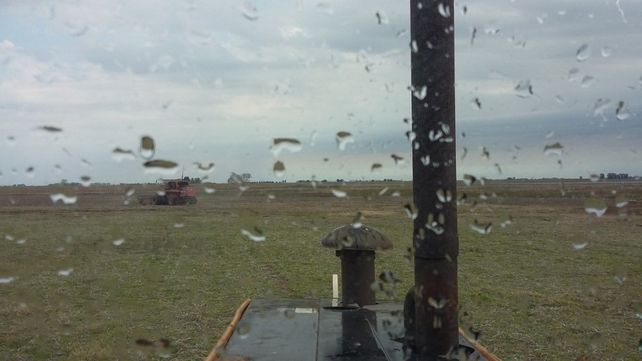 Con el trigo en período crítico y después de soportar dos heladas agronómicas con un marcado el estrés hídrico el último fin de semana