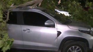 Fue a buscar su camioneta y la encontró aplastada por dos ramas en Oroño