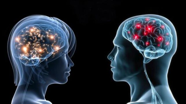 El cerebro masculino precisa mayor energía para cambiar de tarea.