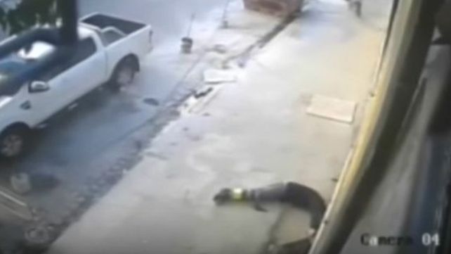 Liberaron al empresario que baleó a un delincuente en Caballito