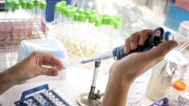 Un software desarrollado por argentinos anticipa respuesta de 14 tipos de cáncer frente a tratamientos