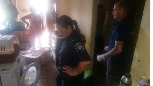 La Policía Ecológica allanó una casa en calle Uruguay al 3700 tras denuncias de maltrato animal. El caso quedó en manos de la Justicia.