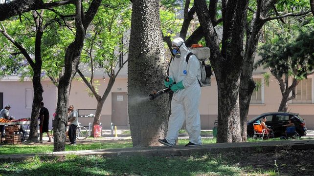 Trabajos de fumigación en la ciudad