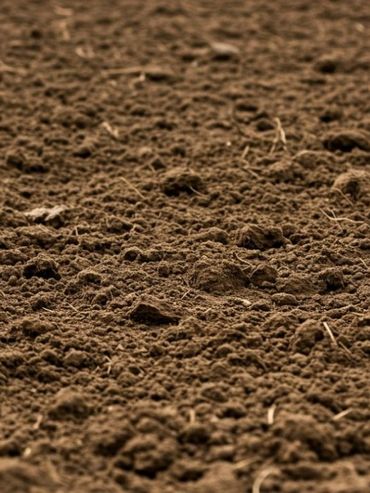 Degradación de suelos: el agro enfrenta un problema estructural que exige cambios de fondo