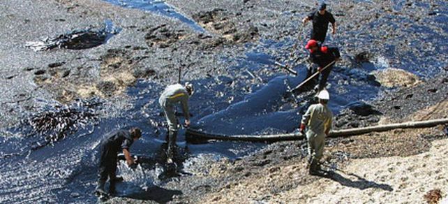 Rescataron 60 aves empetroladas por derrame de petr&oacute;leo en Chubut
