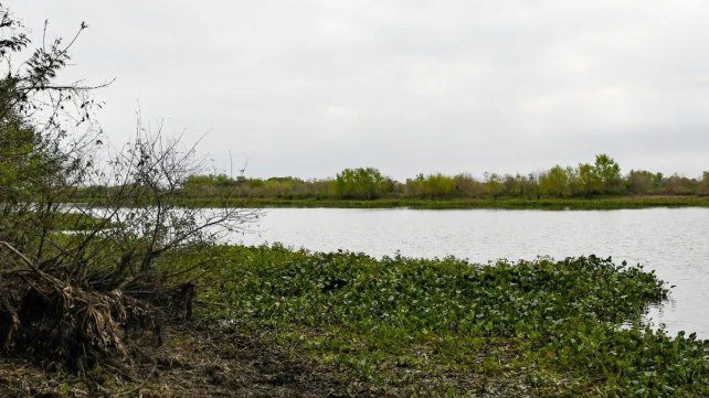Abrieron el primer Parque Nacional de la provincia de Santa Fe