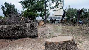 Los fundamentos de la sentencia