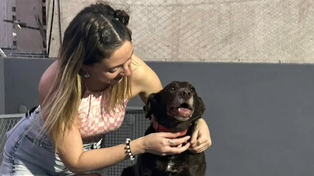 Daban la vida por sus animales: piden ayuda para la familia tras el incendio en zona oeste