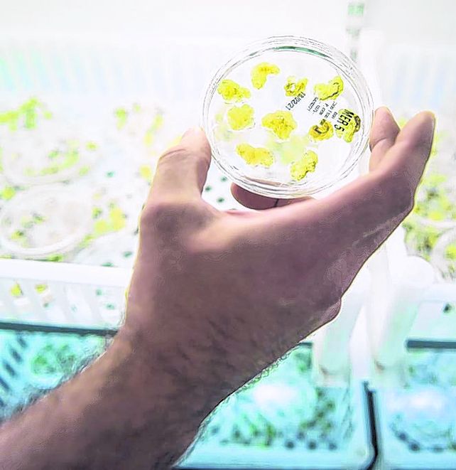 Academia. Las bio tienen gran vinculación con organismos públicos.
