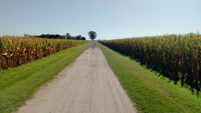 Sustentables. La agricultura mundial busca nuevos estándares y la Argentina tiene mucho para dar.