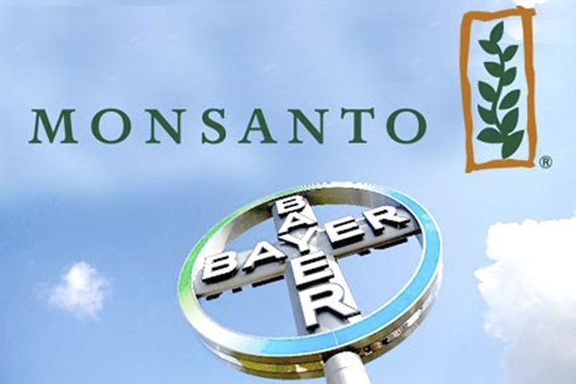 La increíble cifra que pagó Bayer para quedarse con Monsanto