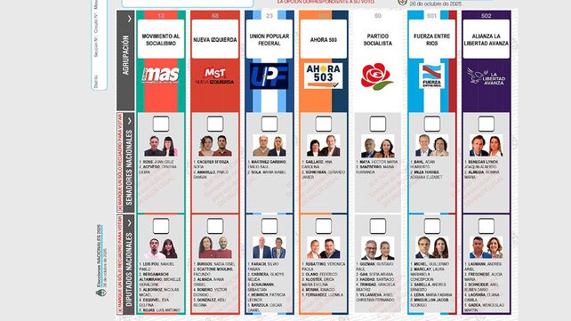 Elecciones 2025: el oficialismo va por más bancas que le aseguren las reformas estructurales Elecciones 2025: el oficialismo va por más bancas que le aseguren las reformas estructurales