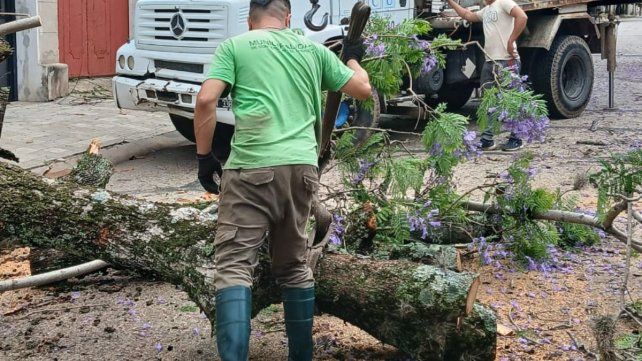 Nuevo temporal afectó a Concepción del Uruguay